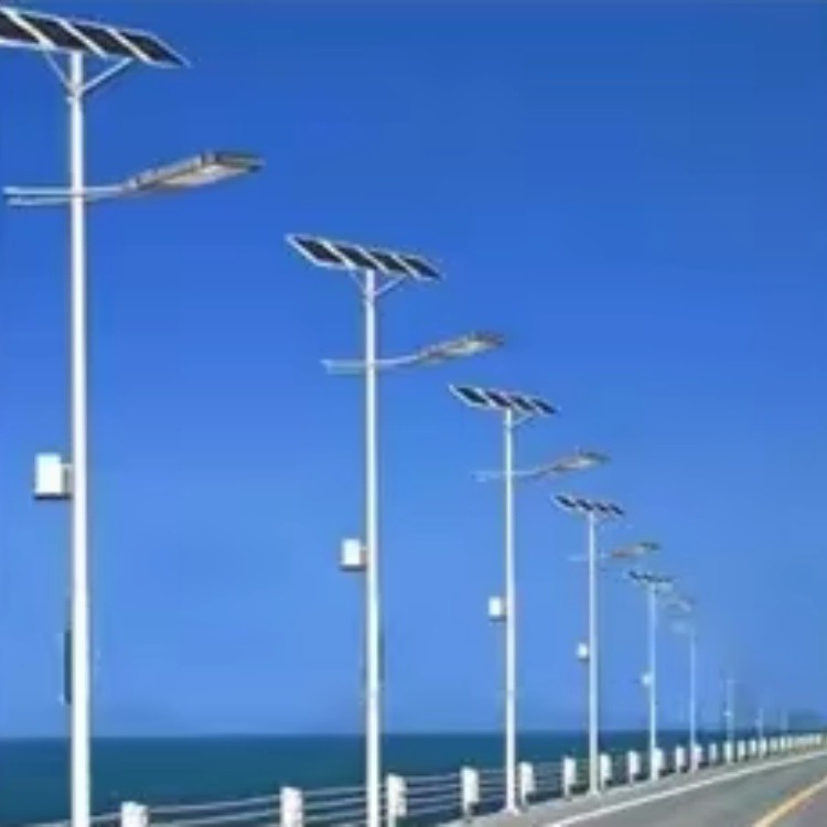 With Pole LED Solar Street Light With Pole LED Solar Street Light
