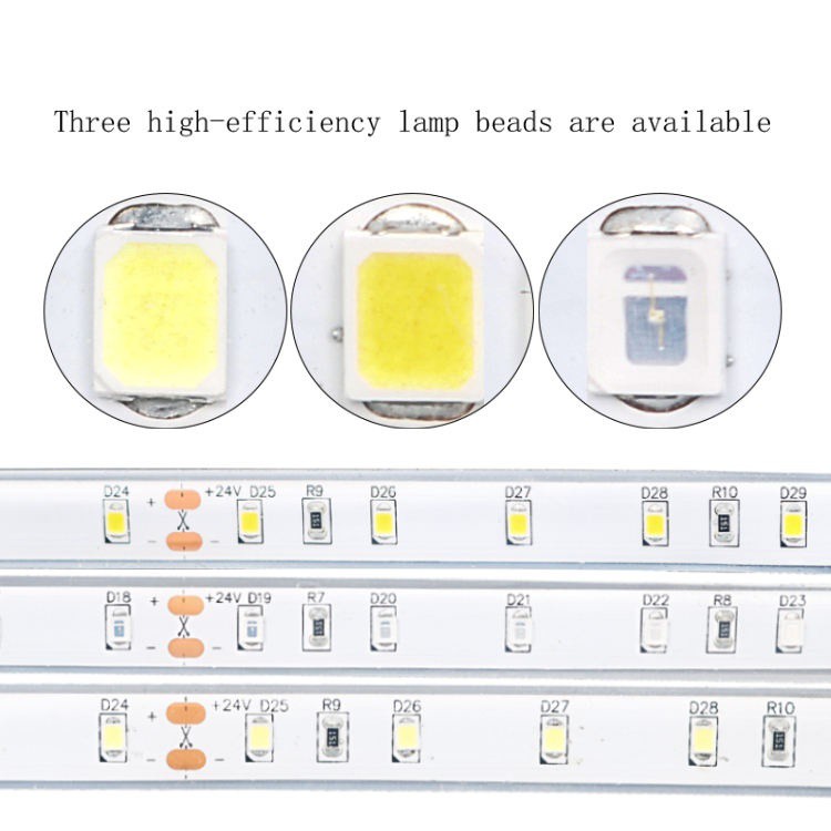 24V 2835 Led Strip Light 24V 2835 Led Strip Light