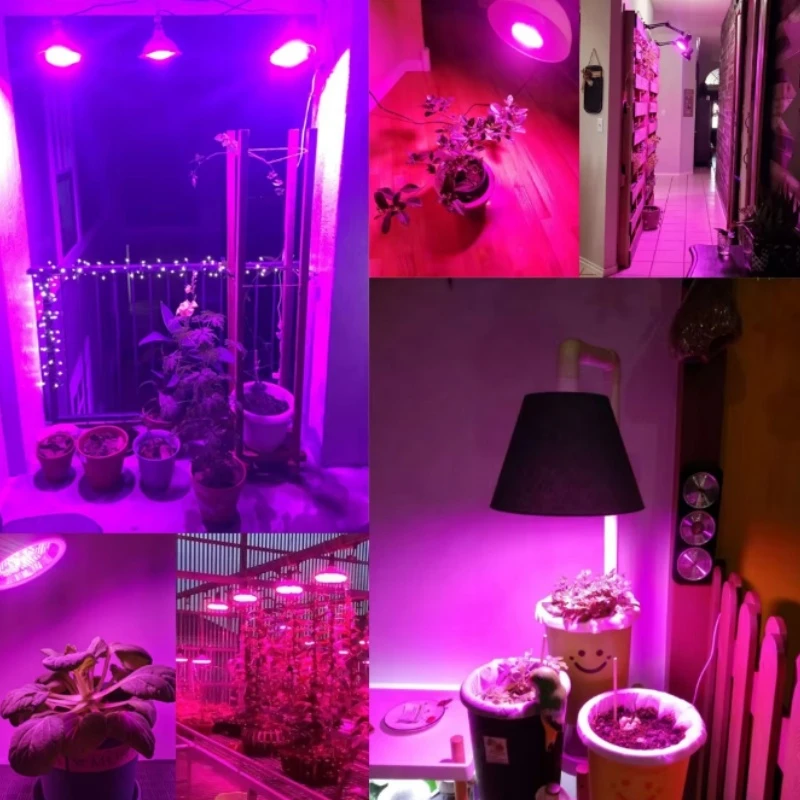 Full Spectrum Aluminum LED Grow Lights Full Spectrum Aluminum LED Grow Lights