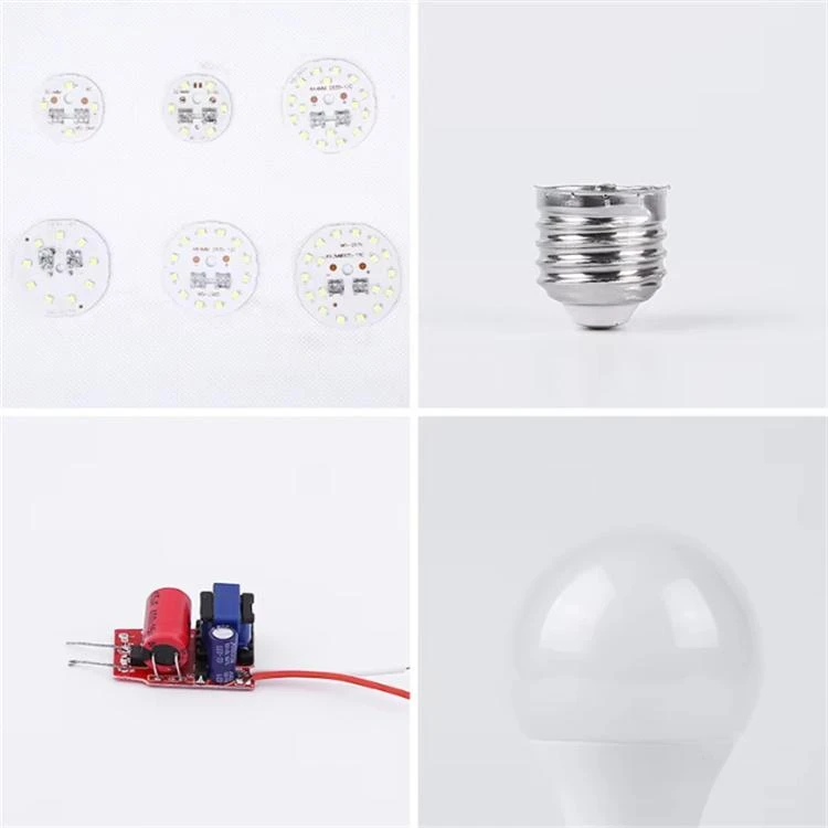 globe light bulbs globe light bulbs
