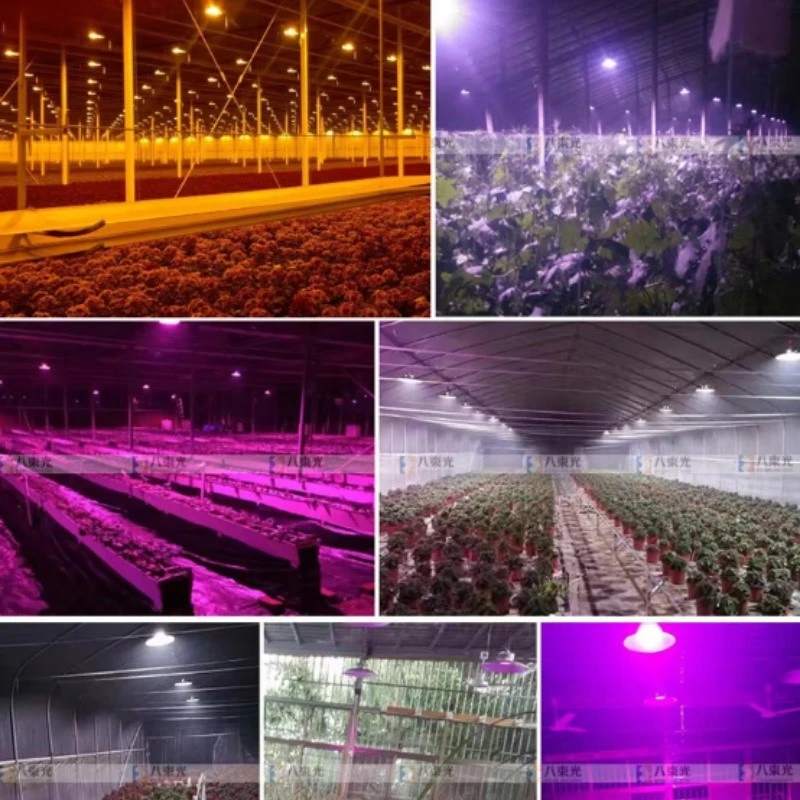 Full Spectrum 660nm LED Grow Light Bulbing Full Spectrum 660nm LED Grow Light Bulbing