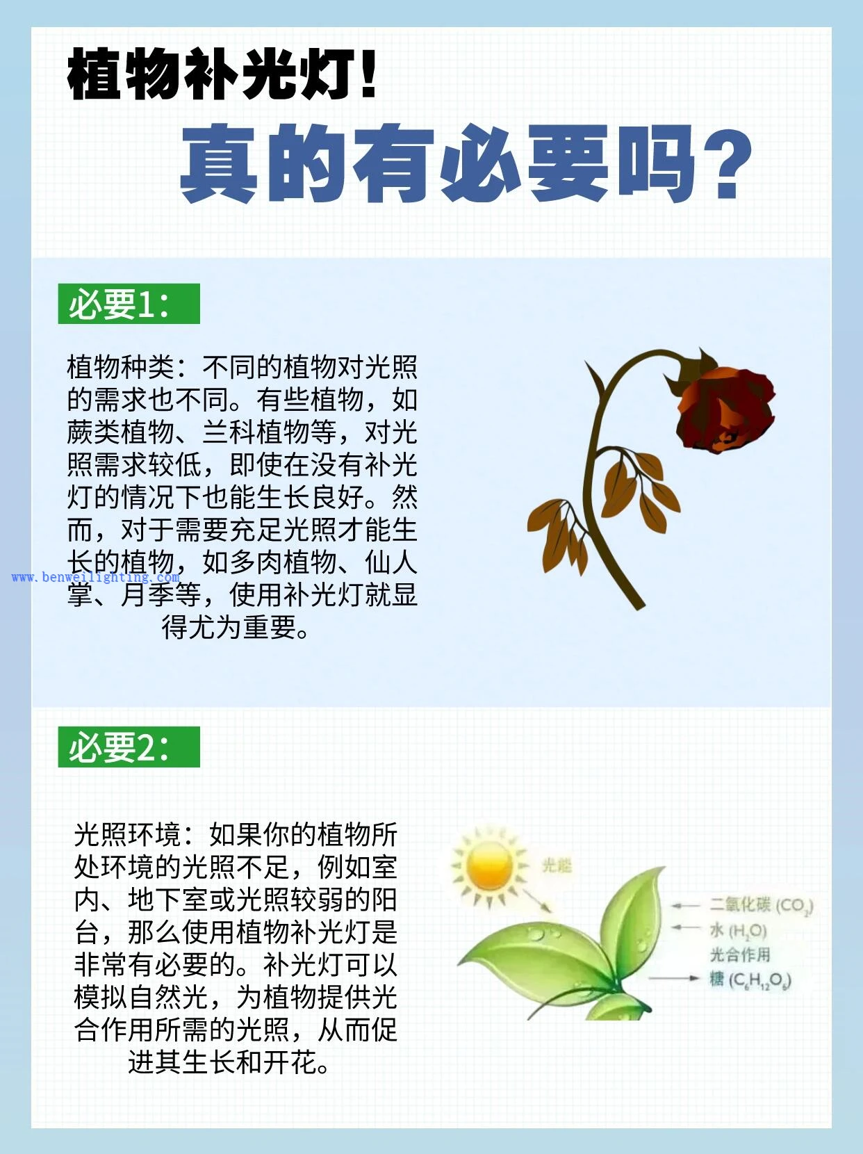 product-1242-1660