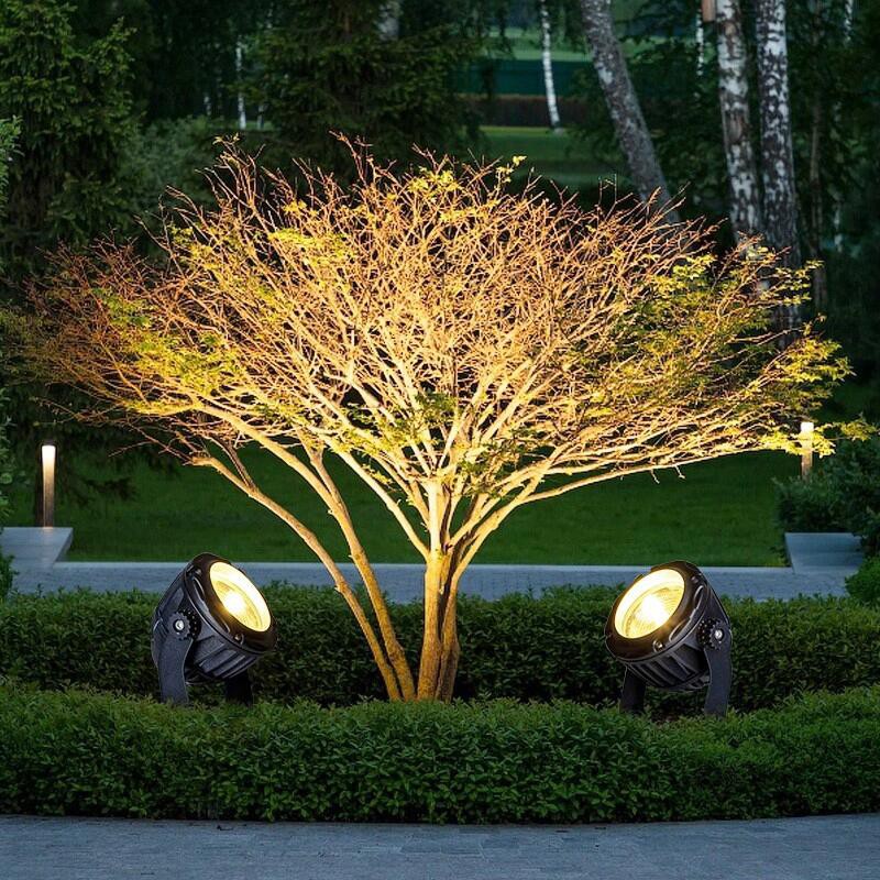 product-800-800 product-800-800