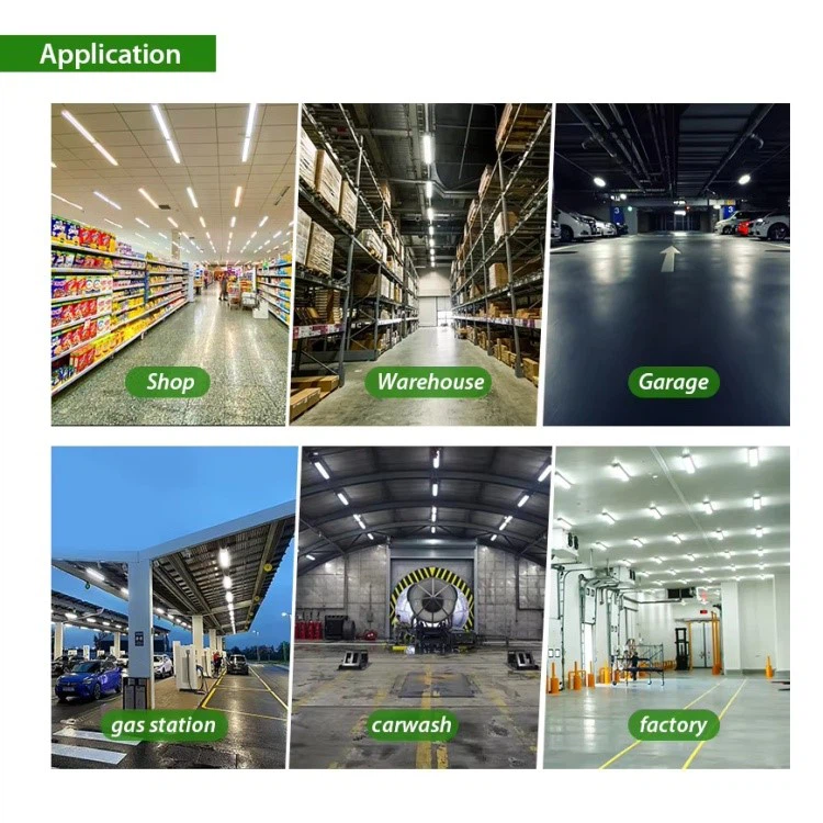 product-750-750 product-750-750