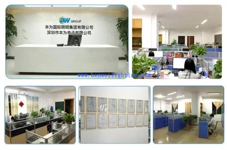 Benwei company1 Benwei company1