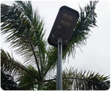 product-369-303 product-369-303