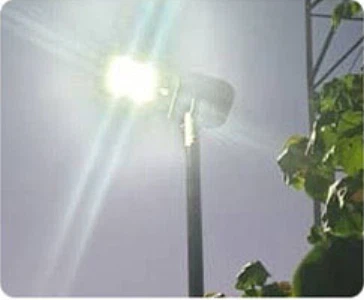 product-364-300 product-364-300