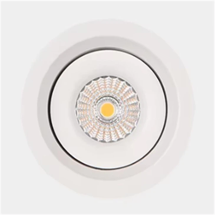 Recessed Adjustable Downlight IP44 Led Cob Down Light