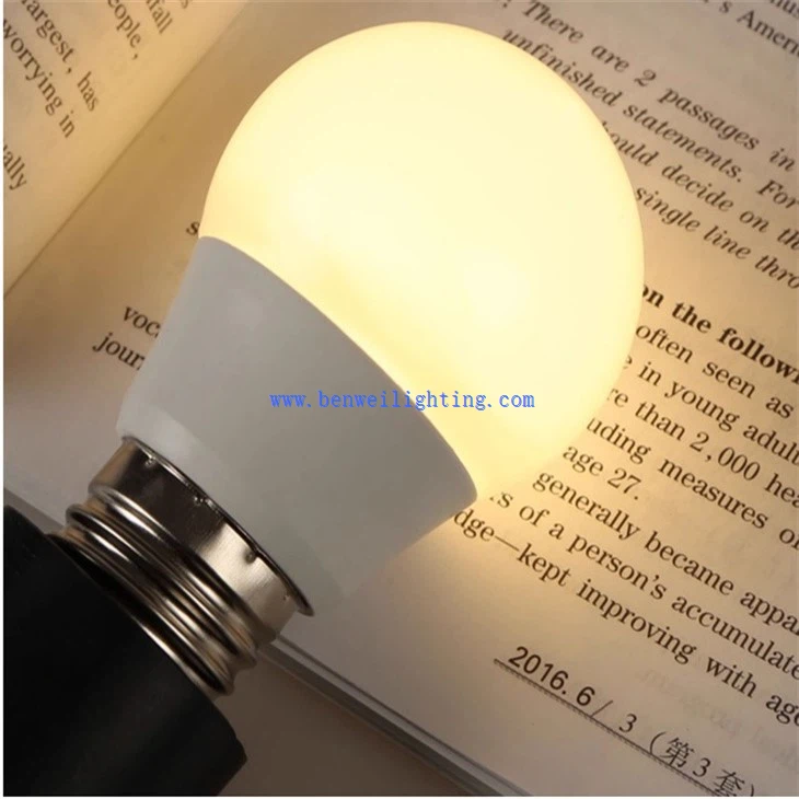 Replaceable LED Bulb (2)