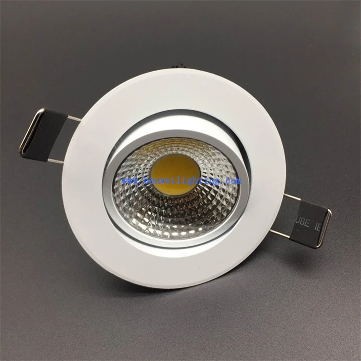 Rimless Downlight (1)