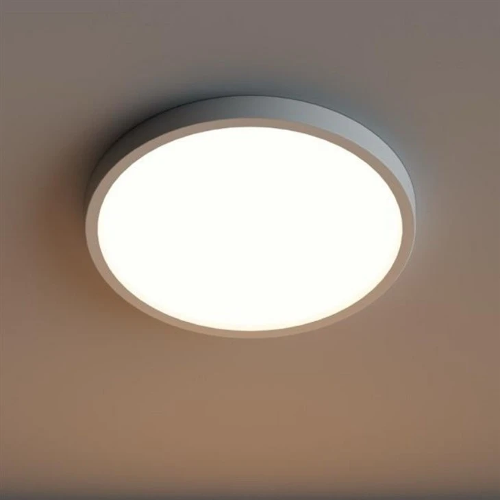 Round Surface Mount Led Ceiling Light price