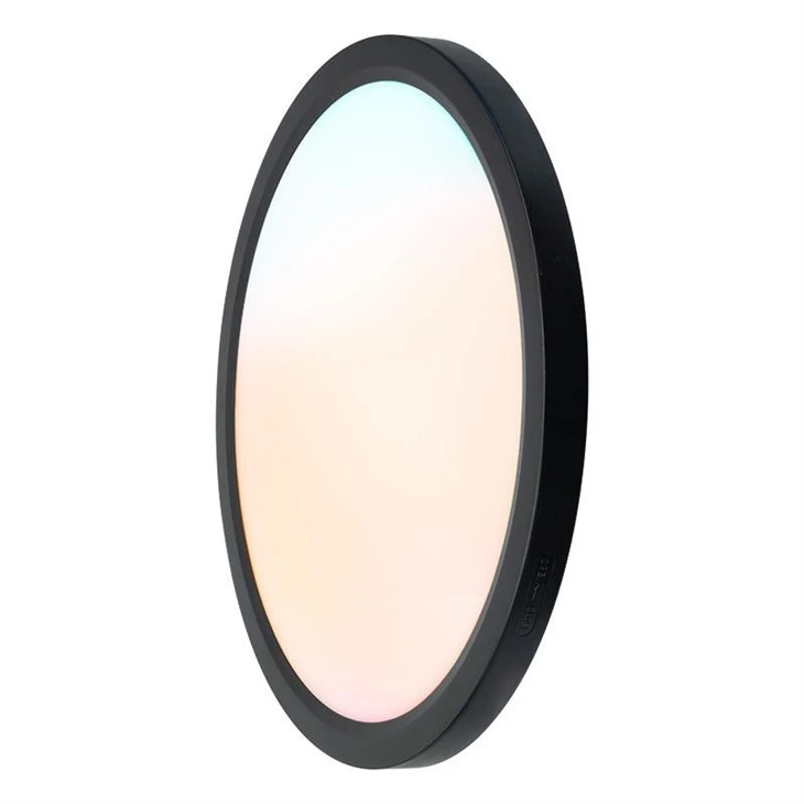 Round Surface Mount Led Ceiling Light factory