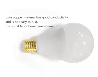 2900K LED Bulb Light