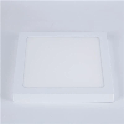 300X300 LED Panel Light