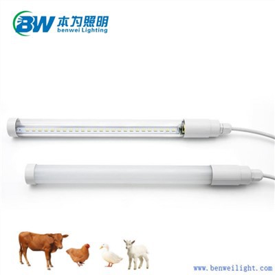 Chicken Coop Light 25w 5000k