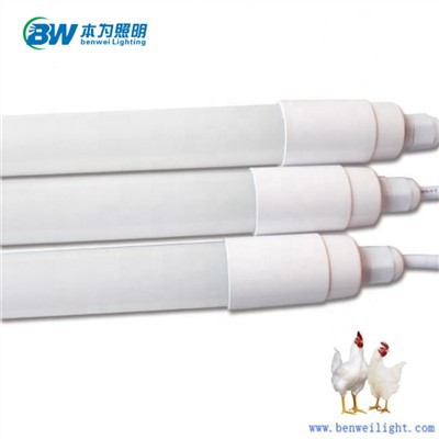 Chicken Light With 0-10V Dimmable 20W