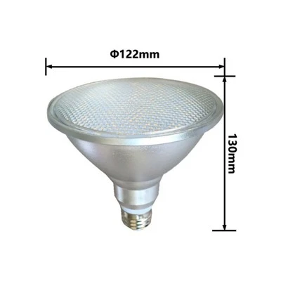High Lumens Aluminum Par38 Led Lamp Light