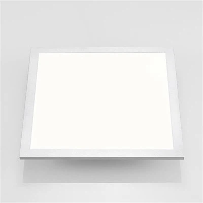 PMMA Diffuser Emergency LED Panel Light