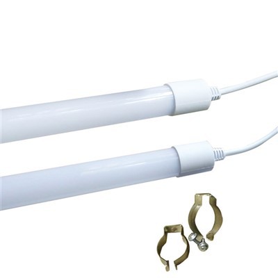 Poultry Brooder Lamp