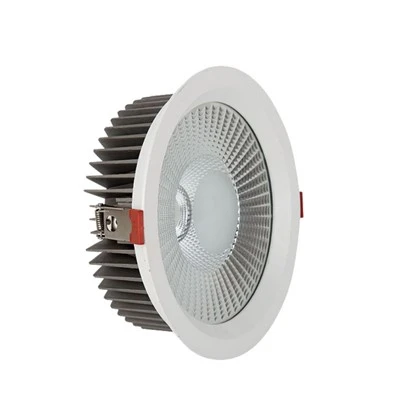 Smart Led Downlight 24W