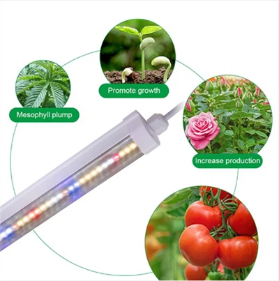 T8 Growing Lamp Led Indoor Grow Light
