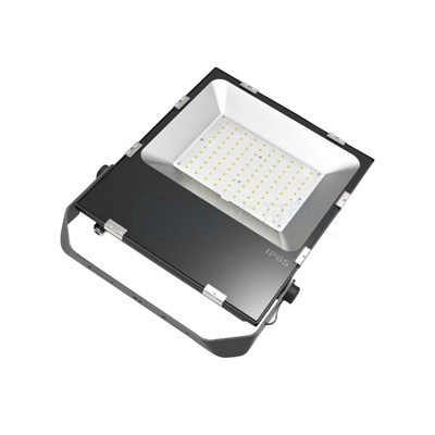 Waterproof LED Flood Light 100W