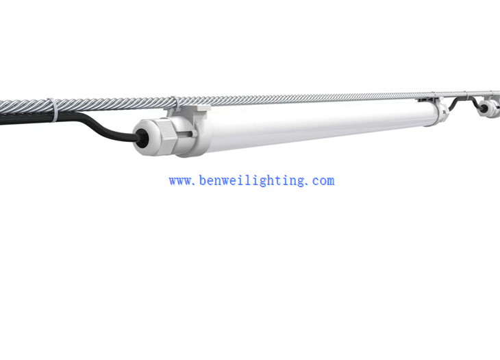 T5 T8 Led Tube Poultry Light