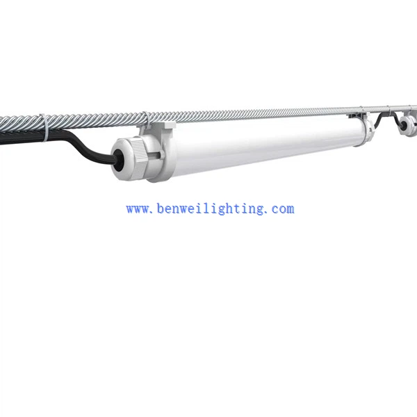 T5 T8 Led Tube Poultry Light