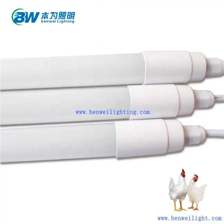 chicken coop led light with timer