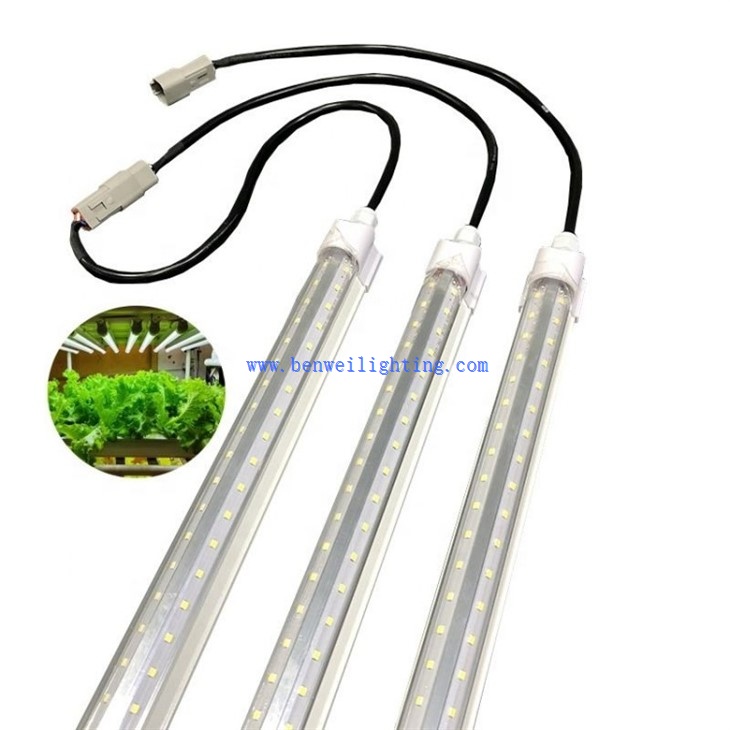 led grow lights for indoor plants