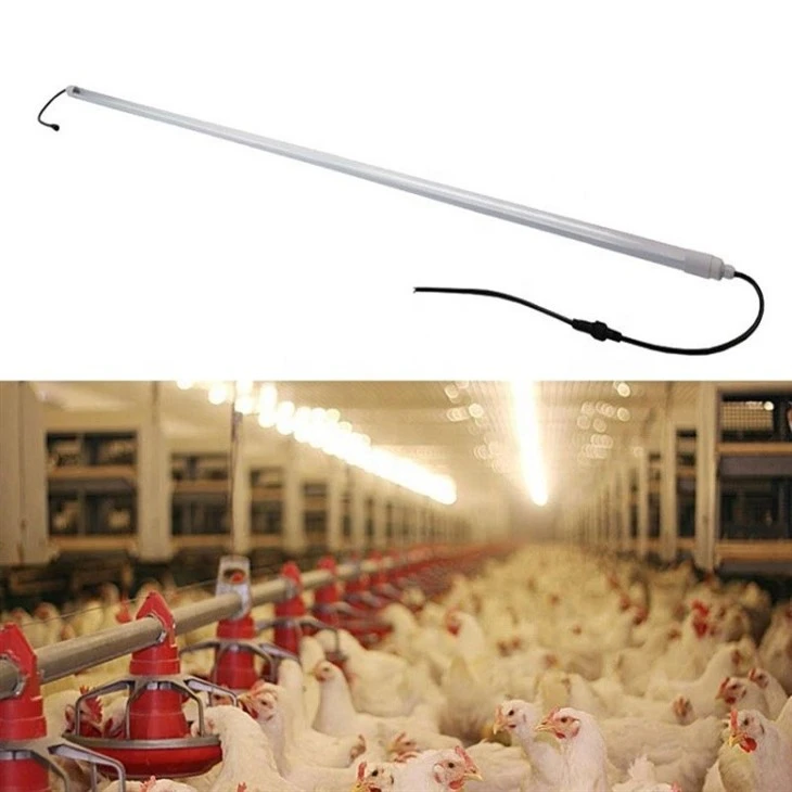 T8 Full Spectrum Led Poultry Tube Light high quality