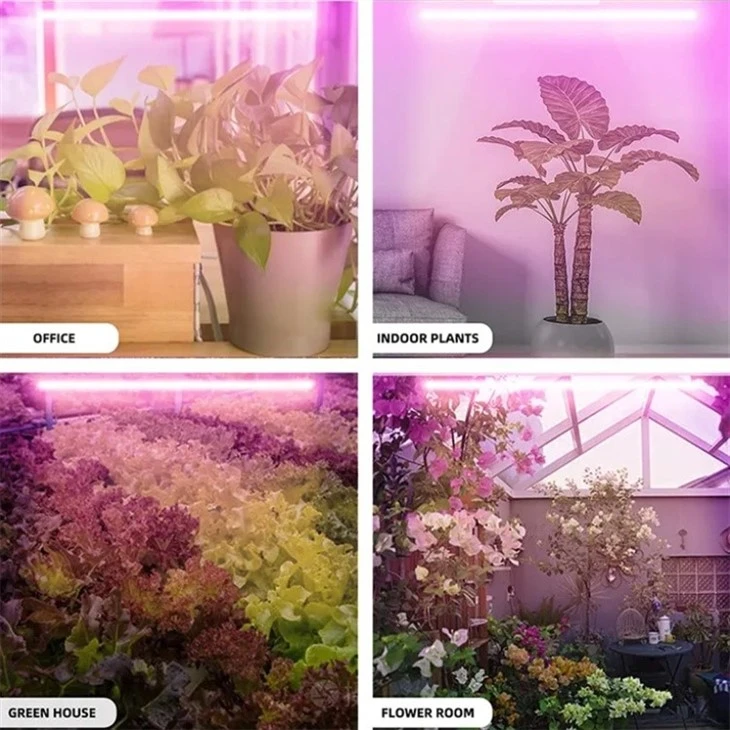 T8 Integrated LED Plant Tube Light high quality