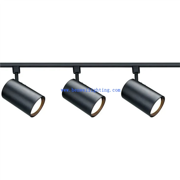 Tracklight For Hall (2)
