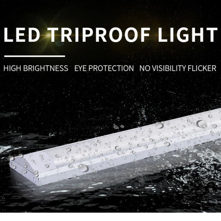 Water Proof LED Batten Light factory